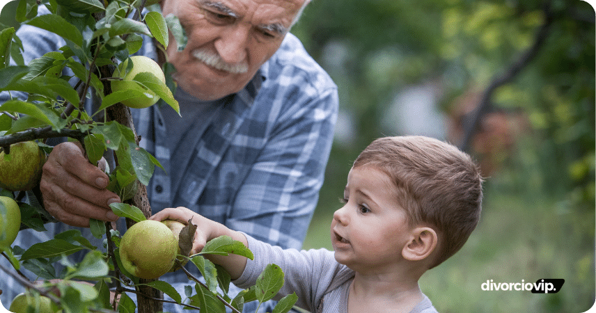negar regimen de visitas abuelo nieto DV